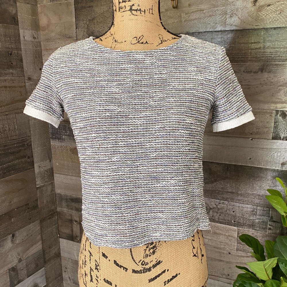 Zara metallic knit crop top